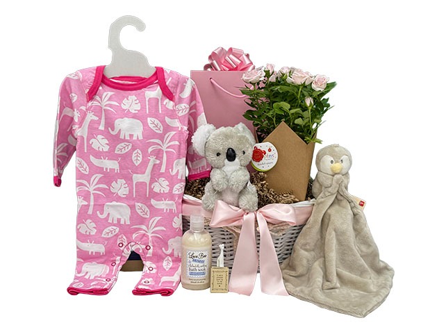 Baby Girl and Family Flower Gift Basket