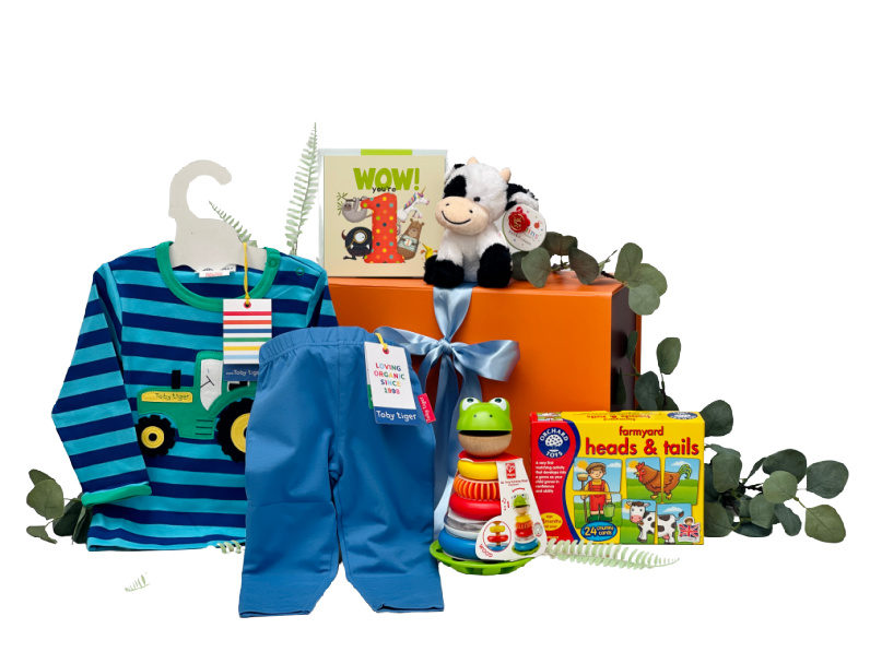 Boys 1st Birthday Gifts