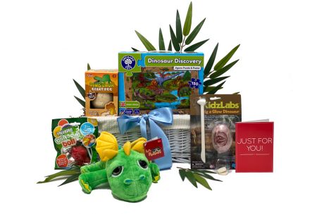 Dinosaur Discovery Basket  (Age 5+ years)