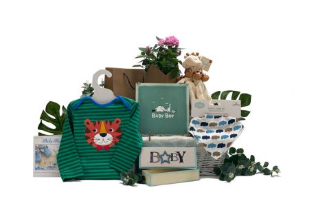 Flowers For Baby Gift Basket Boy 