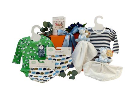 Gifts For Twins Boy Baby Box