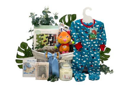 New Arrival Baby Gift Basket Boy Present