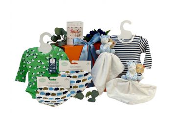 Gifts For Twins Boy Baby Box