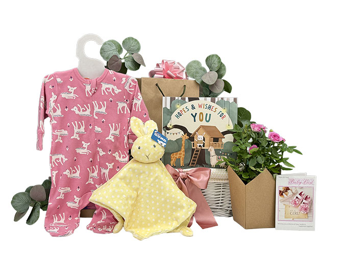 Flowers For Baby Girl Gift Basket
