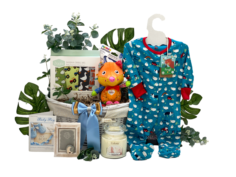 New Arrival Baby Gift Basket Boy