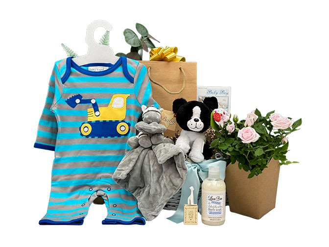Welcome Baby Boy and Family Gift Basket