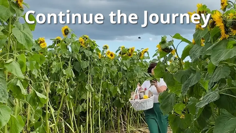 Continue your Journey with us